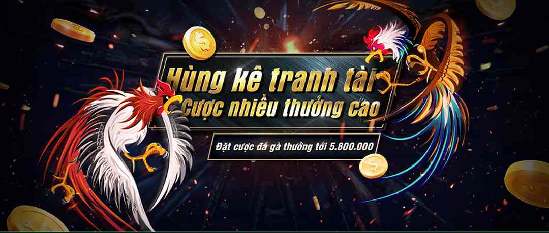 Đá gà đặc sắc