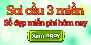 Mơ thấy đám cưới đánh con gì