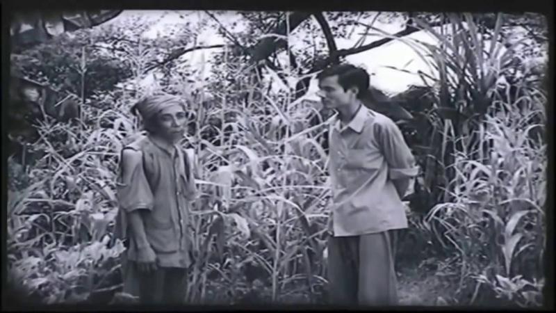 Bài văn thuyết minh tác tác phẩm 
