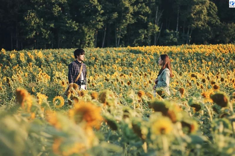 Gửi cậu, chàng trai của tuổi 18 yêu thương