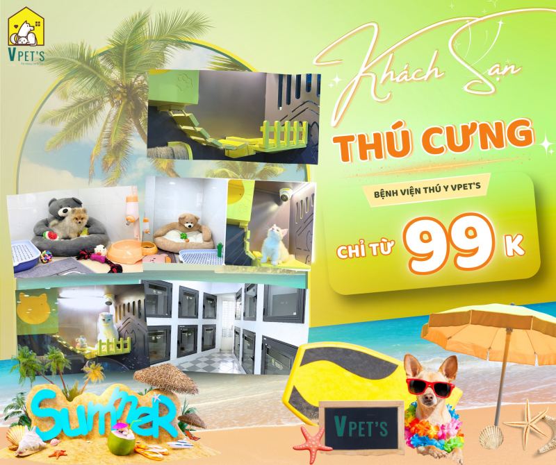Bệnh Viện Thú Y Vpet’s