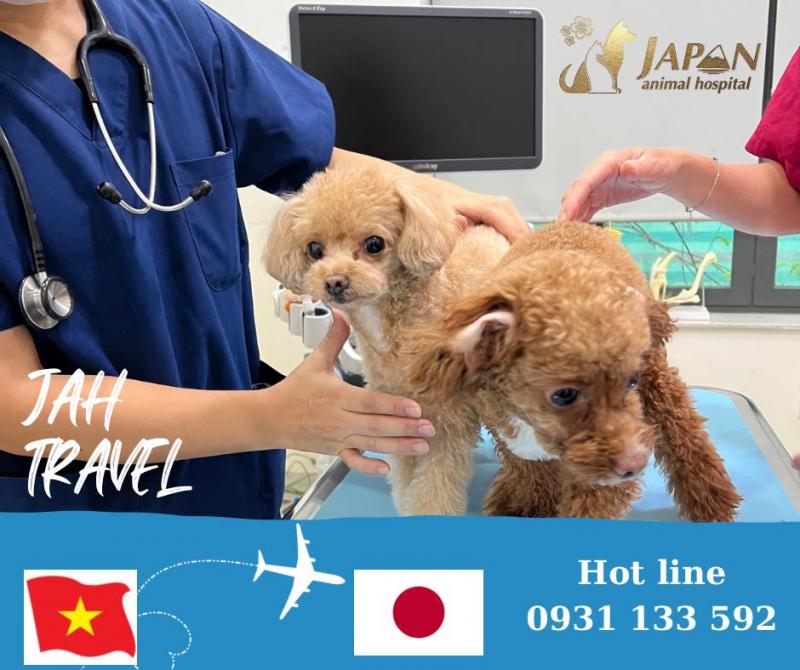Sasaki Animal Hospital
