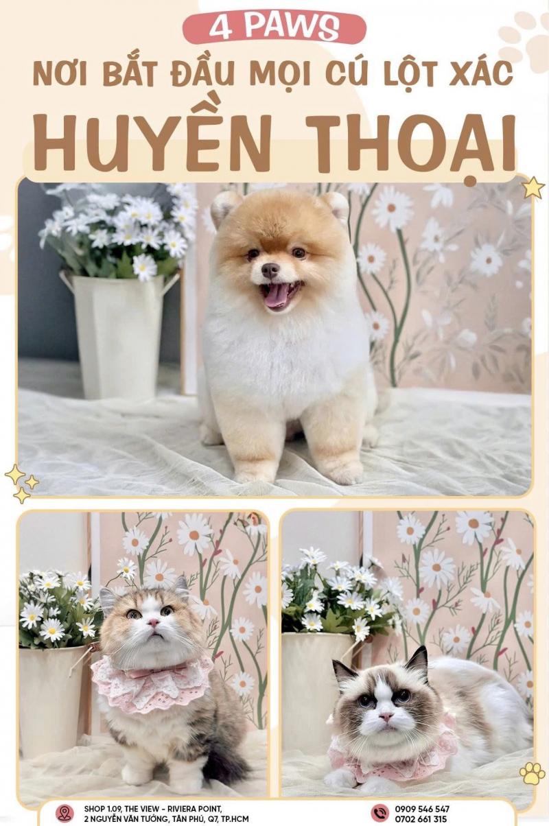 Spa Chó Mèo - Fourpaws